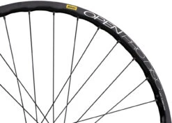 Delux 12 + Open Pro UST Disc + Sapim Race 28" Laufrad -Fahrradteile Geschäft 210125