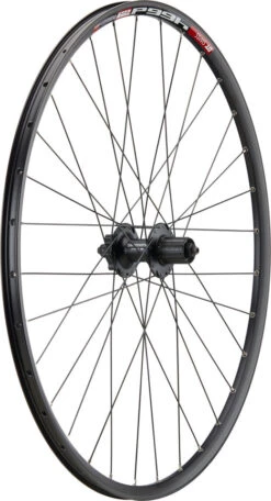 Mountain Alivio Disc 6-Loch DT Swiss 466d 29" Laufradsatz -Fahrradteile Geschäft 399634